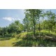 Properties for Sale_FINAL RENOVATED FARMHOUSE FOR SALE IN THE MARCHES, A RENOVATED FARMHOUSE FOR sale in the country of  Fermo in the Marches in Italy in Le Marche_6